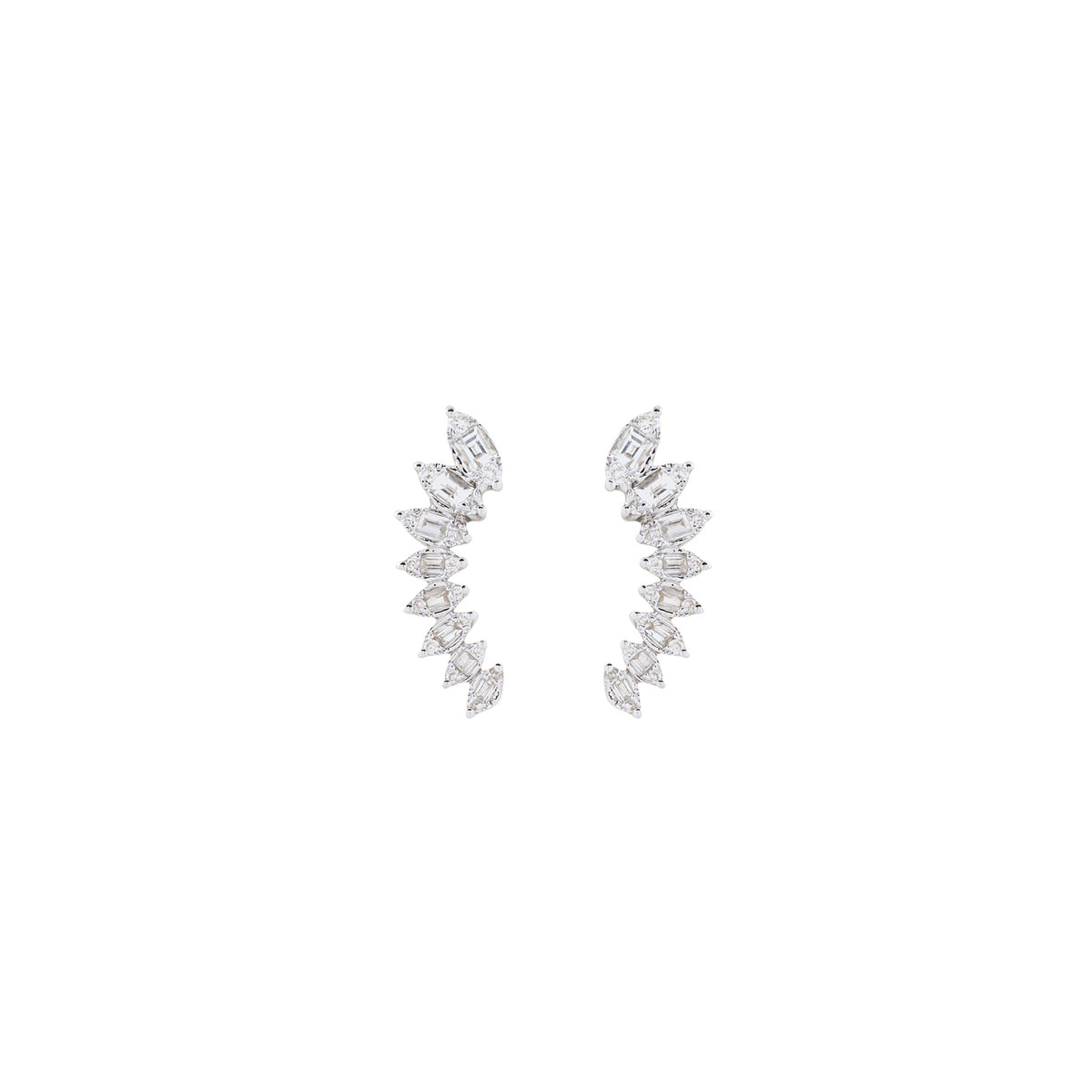 Curve me Up Earrings