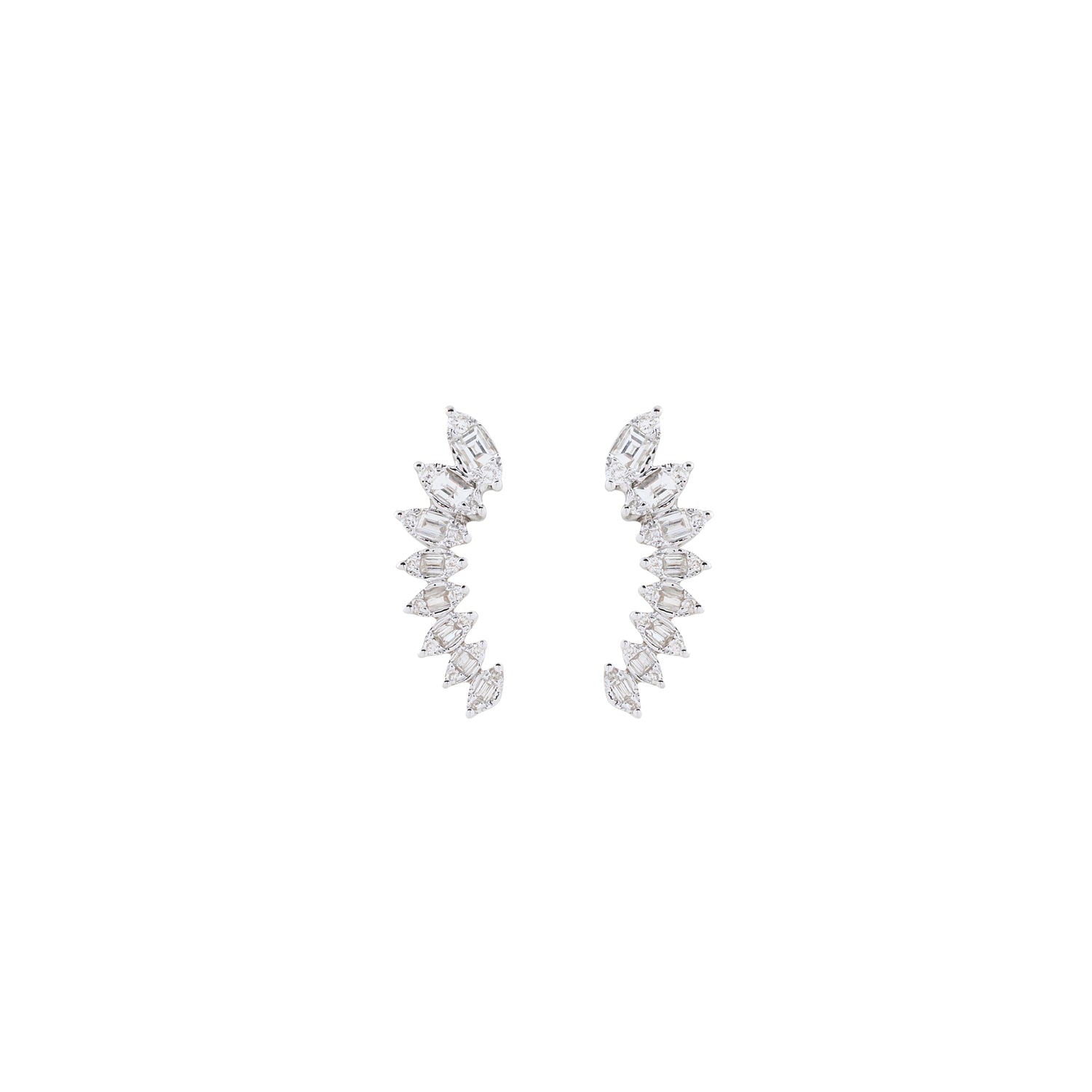 Curve me Up Earrings